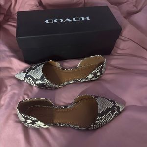 coach snake skin pointed flats!